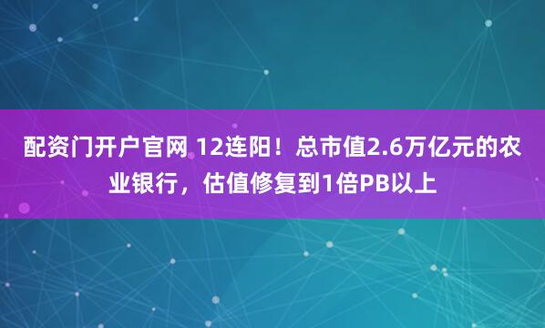 配资门开户官网 12连阳！总市值2.6万亿元的农业银行，估值修复到1倍PB以上